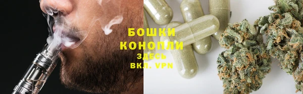 гашик Надым
