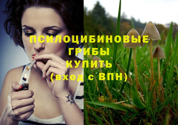ALPHA PVP Армянск