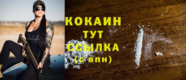гашик Надым