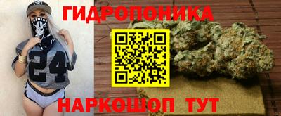 ПСИЛОЦИБИНОВЫЕ ГРИБЫ Аргун