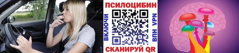 Галлюциногенные грибы мухоморы Чернушка