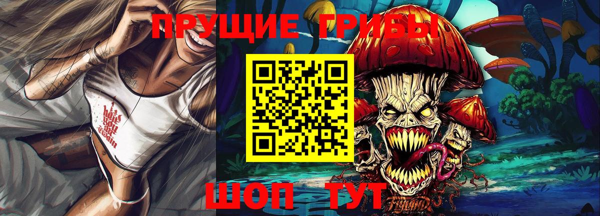 Псилоцибиновые грибы Psilocybe  Чернушка  продажа наркотиков  Галлюциногенные грибы Cubensis 