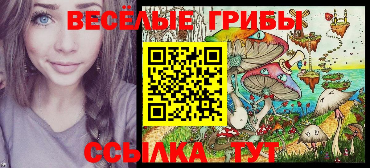 Псилоцибиновые грибы мухоморы Чернушка